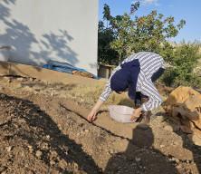 D&uuml;nyanın en pahalı baharatı T&uuml;rkiye'de bir ilde &uuml;retiliyor... 