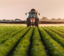 42 ilde yatırım i&ccedil;in dev m&uuml;jde!  390 muhtelif arsa satılacak