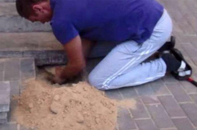 <p>Hayvanseverin çabası sonucunda köpek olduğu yerden çıkarıldı.</p>
<p> </p>