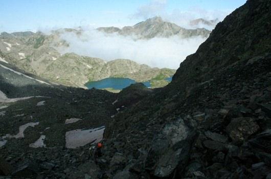 <p>Rize</p>
