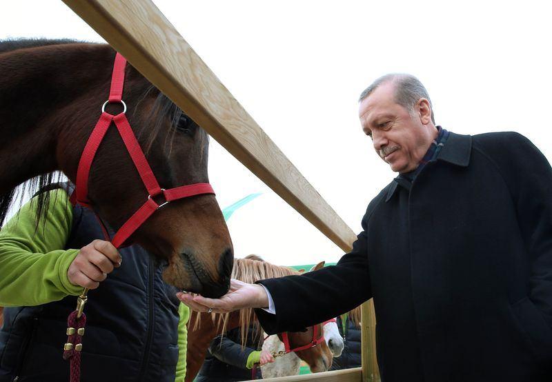 <p>2500 yılık bir yöntem olan ve atla tedavi olarak bilinen "hipoterapi" ilk kez milattan önce 5'inci yüzyılda Yunan askerlere uygulanan bir yöntem olarak biliyor. </p>
<p> </p>