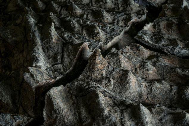 <p>Topraktaki mineraller hızla zırhlı deriye sızarak ölü bedeni sardı ve üzerine yığılan kayalar milyonlarca yıl boyunca dinozorun bu şekilde korunmasını sağladı. Tarih öncesi çağlardan gelen dinozor ve bir kepçe operatörünün yolu da böylece kesişmiş oldu. Haber: Bilimpro</p>
<p> </p>