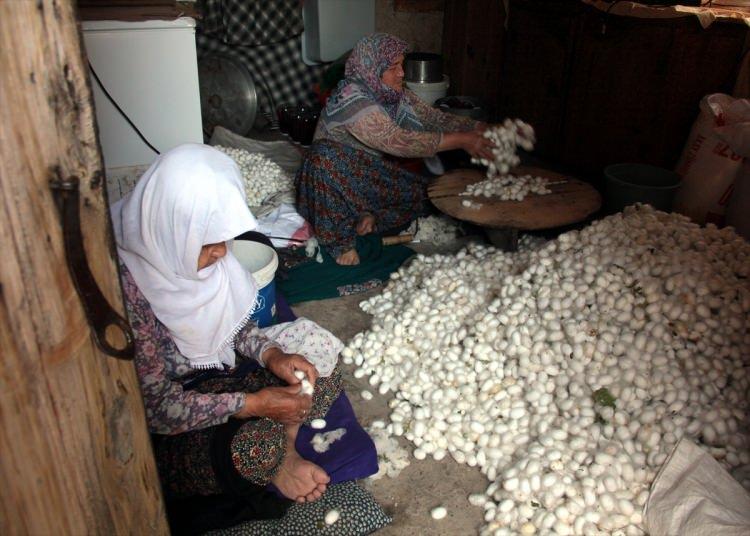 <p>Ürünlerini Kozabirlik'e teslim etmek için aralarında yardımlaşma yapan ailelerden 66 yaşındaki Fatma Günay, "İpekböcekciliği iyi bir ek gelir. Sadece 40 gün çalışıyoruz 5 bin liradan fazla para alıyoruz. Bu iş dar gelirli aileler için iyi bir gelir kaynağı olabilir" dedi.<br />
</p>