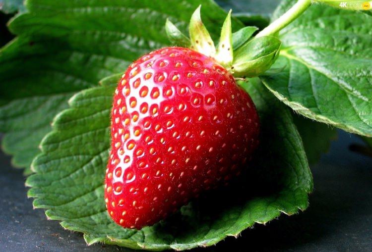 <p>Strese karşı faydalıdır. aynı zamanda uykusuzluğa da iyi gelir</p>
