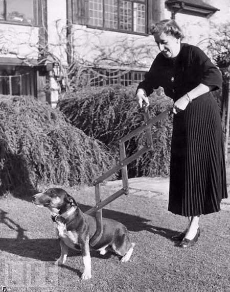 <p>1940'larda bir köpek yakalama aleti</p>