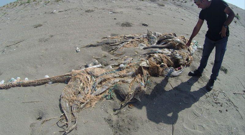 <p>Mersin'in Tarsus ilçesinde sahile vuran ağlarda ölü caretta caretta yavuraları ile saban ve vatoz balıkları da bulundu</p>

<p> </p>
