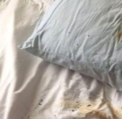 <p>ABD'nin Teksas eyaletinde yaşayan Ariel Tolfree telefonunu yastığın altına koyup uyumaya başladı.</p>

<p> </p>
