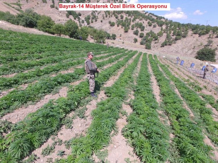 <p>Diyarbakır 7’nci Kolordu Komutanlığı sevk ve idaresinde zırhlı araçlar desteğiyle icra edilen, askeri birlikler, jandarma, emniyet ve geçici köy korucularından oluşan güvenlik kuvvetlerinin katılımıyla 23 Haziran 2016 tarihinde başlayan Bayrak-14 Şehit Jandarma Teğmen Abdülselam Özatak Müşterek Özel Birlik Operasyonu kapsamında;</p>
