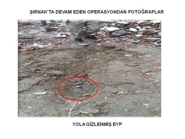 <p>Bahçede yakalananlar şaşırttı.</p>

