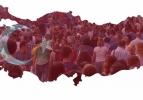 Türkiye'nin en uzun yaşatan şehirleri