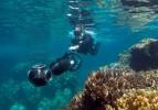Google Street View deniz altına da indi!