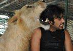Onlar kedi değil aslan besliyorlar