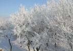 Kars'ta hayat buz kesti