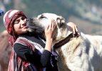 Reisicumhur’un onur konukları