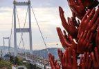Büyük küçük herkes bugün oradaydı!