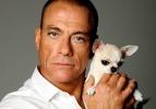 Jean-Claude Van Damme Türkiye'de iş kuracak
