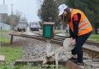 Tren raylarına 'kadın eli'yle yön veriyor