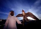 Katar'ın kanat &ccedil;ırpan &ccedil;ocukları: Şahinler