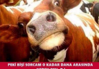 En komik Kurban Bayramı capsleri