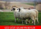 Birbirinden komik kurban bayramı capsleri