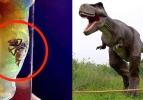 Dünyayı şoke eden keşif! Dinozorlar geri mi dönüyor?