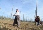 Belediyede başkan tarlada "işçi"