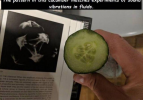 En mükemmel anı yakalayan 35 fotoğraf