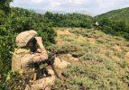 Terör örgütü PKK'ya Bitlis'te darbe