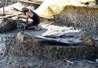 140 milyon yıllık dinozor kemiği Fransa'da bulundu!