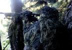 Mehmetçik içeride ve dışarıda PKK’ya göz açtırmıyor
