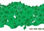 Hangi şehir ne kadar fidan sahiplendi? İşte rekor kıran iller...