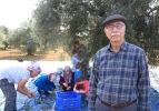 Turizm merkezinin 'yeşil altını'nda hasat zamanı
