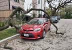 Günlük yaşamdan ilginç fotoğraflar