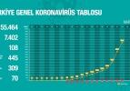 Türkiye'de gün gün koronavirüs vaka ve ölüm sayıları