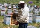 G&ouml;&ccedil;er arıcıları kaliteli bal i&ccedil;in Ağrı'nın dağlarını mesken tuttu