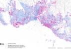 İstanbul ve Ankara'nın işletim sistemi haritaları