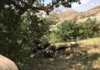 Son dakika: Hakkari'de Yıldırım-2 Cilo Operasyonu başlatıldı