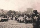 Osmanlı'da Kurban Bayramı!