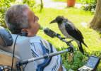 Tedavi ettiği karga 'Şakir' en iyi arkadaşı oldu