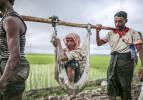 Myanmar'da Arakanlı Müslümanların dramı son bulmuyor