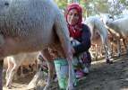 Karı koca günde 2 saat çalışarak ayda 15 bin TL kazanıyor