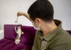 &Uuml;&ccedil; kedi yavrusu emniyetin maskotu oldu