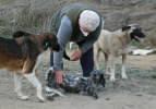 Emekli &ouml;ğretmenden takdir toplayan davranış: Sokak hayvanlar i&ccedil;in 71 yaşında veteriner oldu