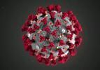 Yeni coronavir&uuml;s mutasyonu hakkında bilinmesi gerekenler! Aşıyı etkiler mi?