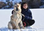 12 yaşındaki Naz, Kangal k&ouml;pekleriyle b&uuml;y&uuml;yor