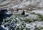 Rize’de yaz ayında kar sürprizi