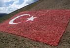 Jandarma, şehitler için 138 ton taşla Türk bayrağı yaptı