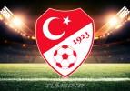 İşte Süper Lig kulüplerinin statlarına alabileceği seyirci sayısı!