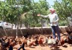 Orman kurmak için tavuklarını satışa çıkardı