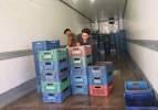 Asya ve Avrupa'nın kirazı Toroslar'dan gidiyor: Kilosu 35 lira